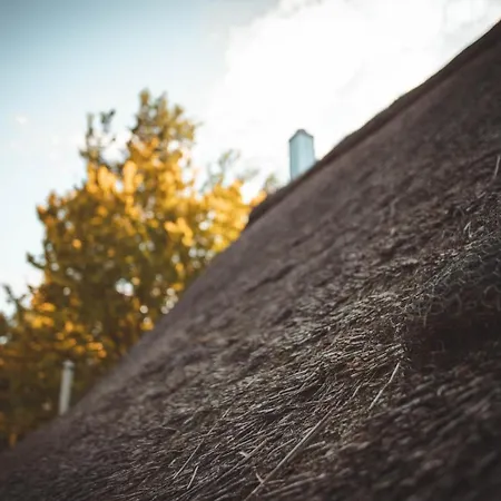 Nyaraló Haus Kaethe Am Deich Balje