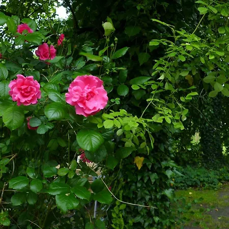 Haus Kaethe Am Deich *