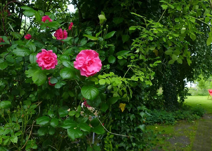 Haus Kaethe Am Deich *